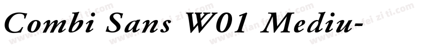 Combi Sans W01 Mediu字体转换